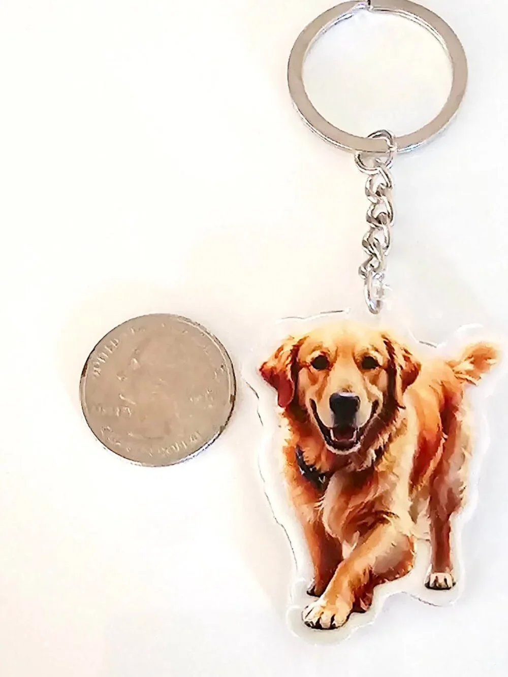 Golden Retriever Acrylic Keychain, Unisex, Dog Lover Pet Gift Double Sided Charm
